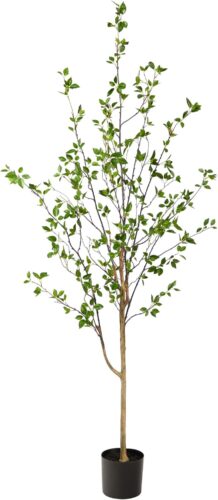 713DQtiujbL._AC_SL1500.jpg