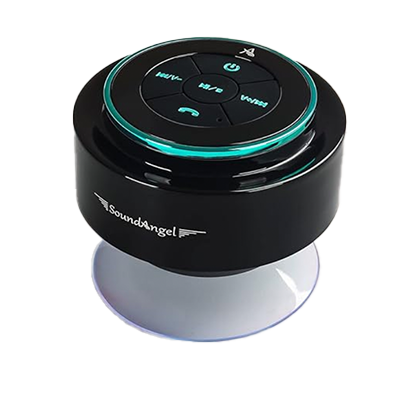 Speaker